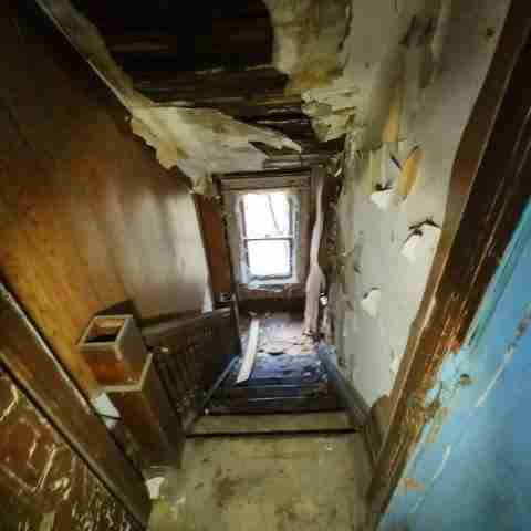 8031 conger (29).jpg